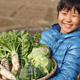 千葉の旬の野菜を収穫体験できる農場３選｜野菜嫌いを克服？