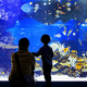 GWのおでかけにも！神奈川の定番アクアリウムといえば新江ノ島水族館