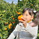 食欲の秋だ！みかん狩りに家族へ行こう！静岡のおすすめ4選