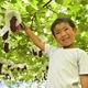 今が食べごろ! 週末行きたい ぶどう狩りスポット３選｜千葉県