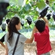 大粒な果実の恵みをいただきます! ぶどう狩り3選｜静岡県