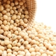 「大豆イソフラボン」が女性にうれしい！そのパワーと効果とは？