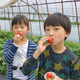 静岡市久能エリアでいちご狩り！おすすめ人気園5選＆観光スポット｜静岡県