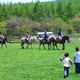 自然いっぱいの長門牧場で乗馬体験や美味しいアイスクリームを｜長野県
