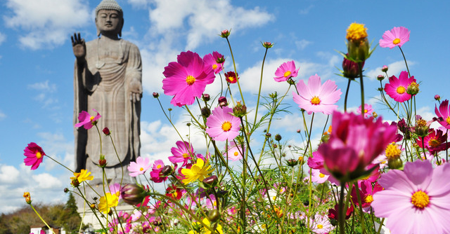 好アクセスの牛久大仏で子連れ観光！動物のふれあいも｜茨城県｜cozre