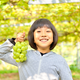 ぶどうが時間無制限で食べ放題！勝沼グレパーク｜山梨県