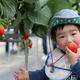 旅名観光農園フルーツ村の味覚狩りや景色の楽しみ方｜千葉県