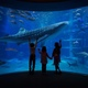 [海遊館]世界の海を子どもと探検！サメやエイにも触れてみよう｜大阪府