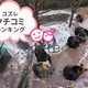 おすすめ動物園の口コミランキング ～生後6-11ヶ月編【2018年12月】