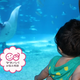 子連れで水族館に行く時に気をつけるポイントは？【お悩み相談】