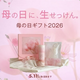 スキンケアブランド ルアンルアンの生せっけん「母の日ギフト2026」 を4月9日からスタートしました。
