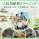 植物触媒(R)?×入居前清掃のイノベーション。住まいの化学物質対策「植物クリーニング」新事業開始