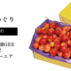 【予約限定】野菜ソムリエプロ厳選、米国オービル農園の最高峰「GEE WHIZ」大粒レイニアチェリーが「アグリセレクト」に登場。1か月だけの限定販売！全品ポイント2倍キャンペーンも同時開催！