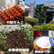 【昭和36年創業 愛知県知多市竹新製菓(株)】 全焼から再建へ向けたクラウドファンディングを創設 ～“知多の味を未来へ”4代目社長の決意～ ◎珈琲焙煎へのチャレンジ◎