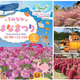 福岡「うみなか＊はなまつり2026」100万本のコスモスとハロウィン！