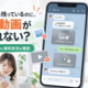 LINEのトーク履歴はあるのに写真・動画が見られない？機種変更前の確認ポイント