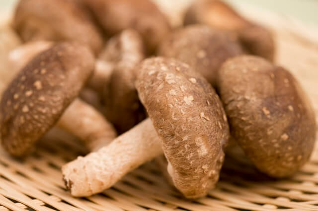 ザルに乗せたしいたけ,修善寺しいたけの里,