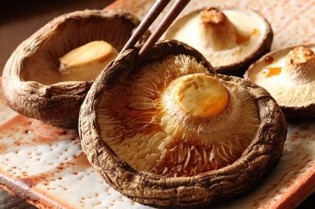 焼きしいたけ,修善寺しいたけの里,