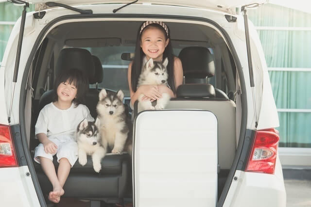 車に乗っている犬と子ども,修善寺しいたけの里,