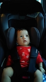 どんさん,コンビ,マルゴット,