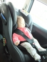 オリーブさん,コンビ,マルゴット,