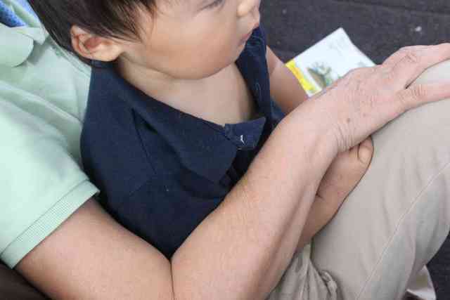 オリジナル,アンパンマン,DVD,