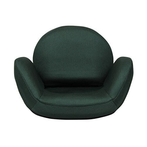 TEGOPO 座椅子 コンパクト メッシュタイプ 6段階調節リクライニング 骨盤 幅55cm＊奥44cm＊高41cｍ TZ001-M1 グリーン色,骨盤クッション,