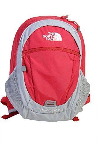 ノースフェイス（THE NORTH FACE） K SMALL DAY キッズ スモールデイ TR/TNFレッド NMJ71653,関東,紅葉,
