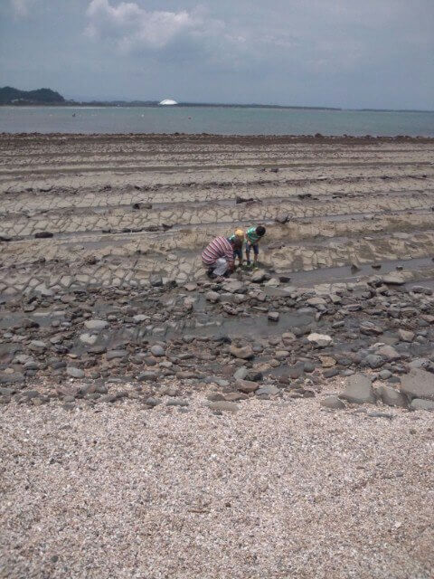 鬼の洗濯板で生き物探し,宮崎,観光,おすすめ