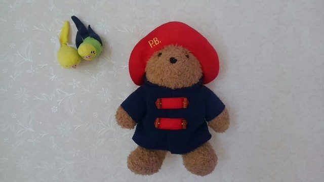 ダッフルコートを着たパディントン,キッズ,ダッフルコート,