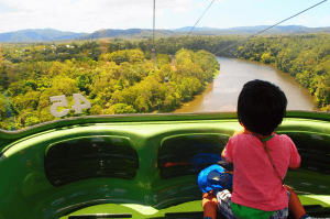 外をみる子ども,子連れ,海外旅行,おすすめ