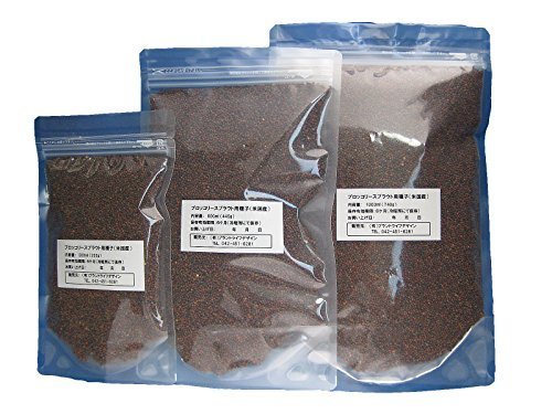 ブロッコリースプラウト種子(300ml) 送料無料 失敗せず大量栽培できるセット付き（初回購入時）,プランター,野菜,