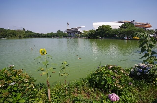 等々力緑地,武蔵小杉,イベント,