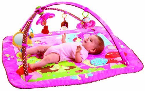 TINY LOVE ジミニー・タイニープリンセス ムーブ&プレイ【正規代理店(株式会社日本育児)の1年保証付き】,プレイジム,