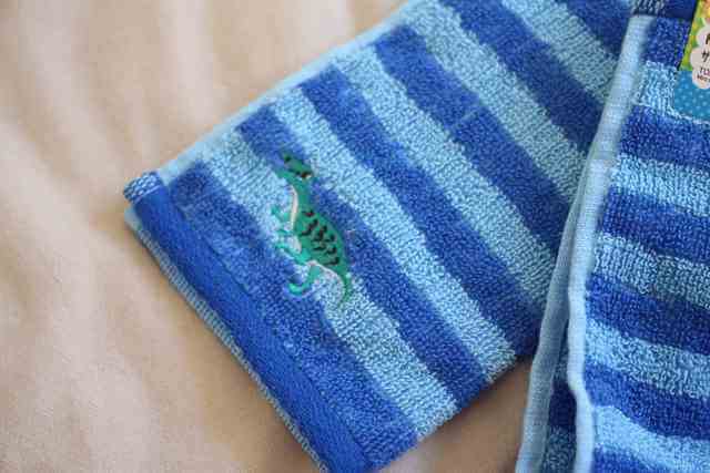 ダイソーの20×20センチ、ネーム付ミニタオル。恐竜の刺繍あり。,ダイソー,子供,