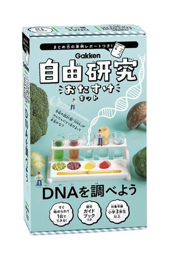 DNAを調べよう (自由研究おたすけキット),夏休み,実験,自由研究