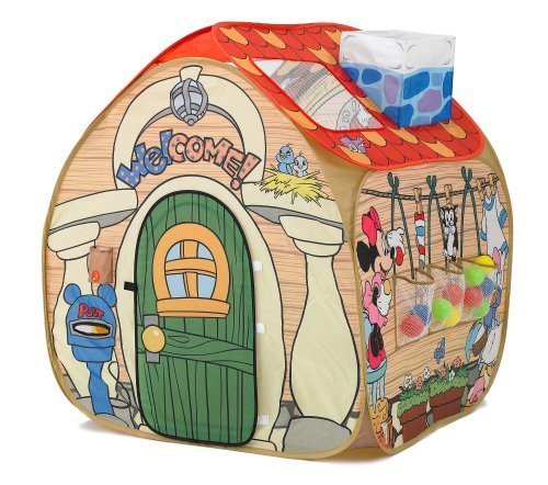 トゥーンタウン あそびと知育のボールハウス,室内,遊具,