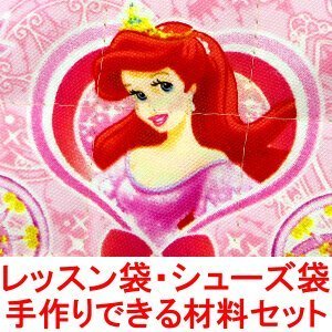 プリンセス レッスンバッグ シューズバッグ の 手作り材料セット （シューズ袋の大きさ：小） （作り方付き） （画像に詳細説明）,幼稚園,通園,バッグ