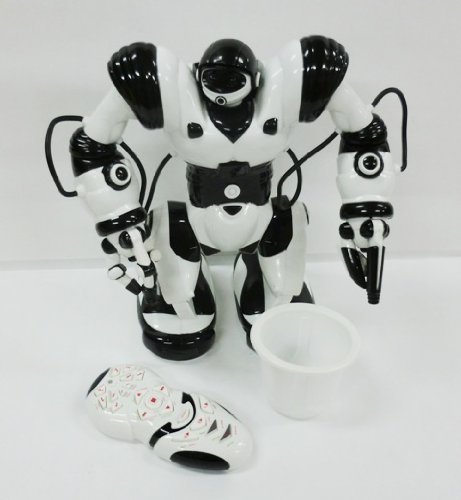 Roboactor(ロボアクター) (二足歩行ロボットラジコン),ラジコン,おすすめ,