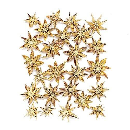 大地農園 ドライフラワー スターアニス (35g入り) DO021020-902,リース,手作り,