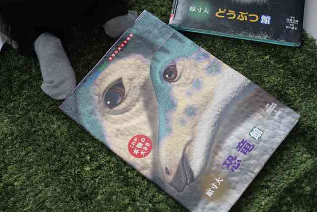 オリジナル,小学館の図鑑NEO,