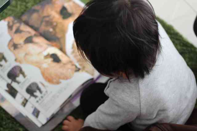 オリジナル,小学館の図鑑NEO,