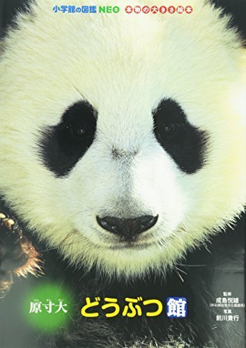 原寸大どうぶつ館 (小学館の図鑑NEO 本物の大きさ絵本),小学館の図鑑NEO,
