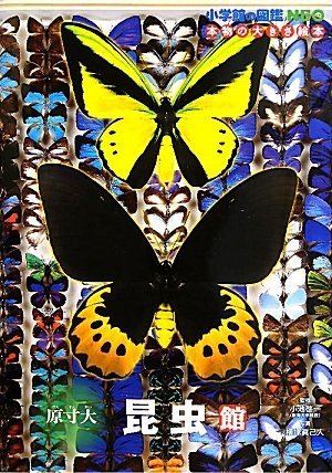 原寸大昆虫館 (小学館の図鑑NEO―本物の大きさ絵本),小学館の図鑑NEO,