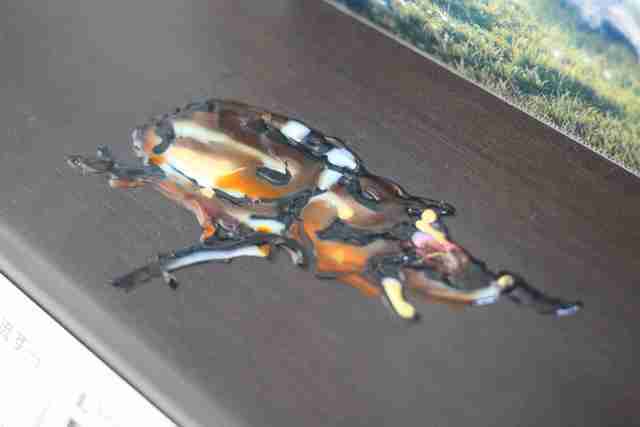 グラスデコで作ったカブトムシ,グラスデコ,