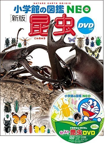 DVD付 新版 昆虫 (小学館の図鑑 NEO),虫,図鑑,