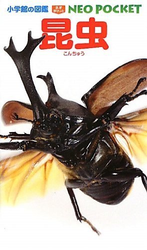 昆虫 (小学館の図鑑 NEOポケット),虫,図鑑,