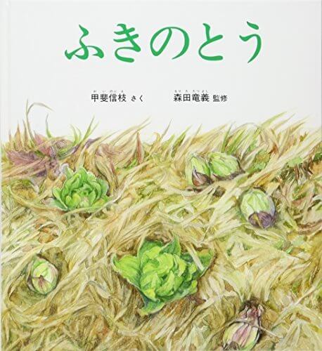 ふきのとう (かがくのとも絵本),甲斐 信枝,