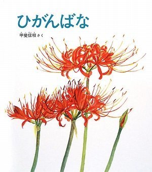 ひがんばな (かがくのとも絵本),甲斐 信枝,