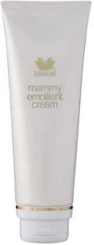 ワコール Wacoal 産前・産後保湿マミィエモリエントクリーム120g MOY007,バストケア,